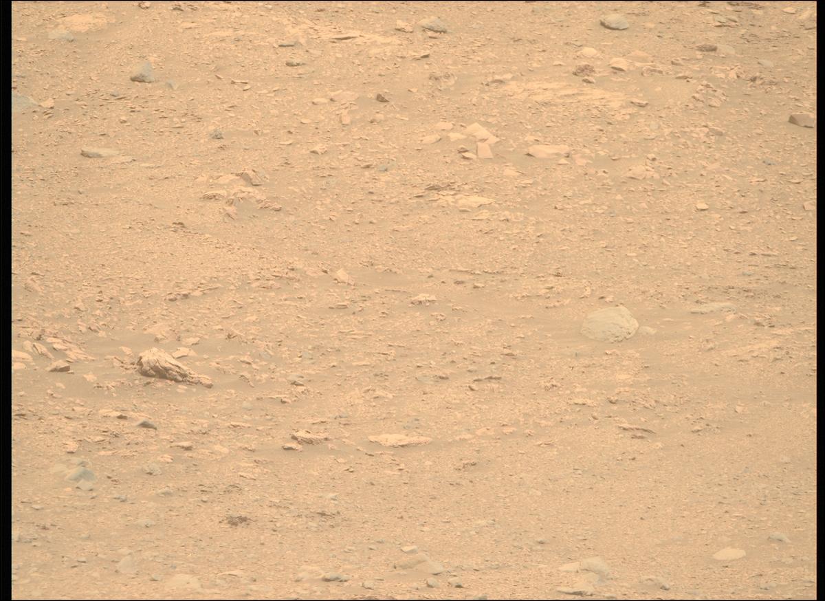 This image was taken by MCZ_RIGHT onboard NASA's Mars rover Perseverance on Sol 604