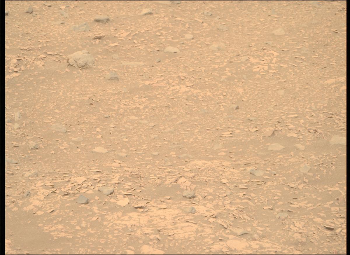This image was taken by MCZ_RIGHT onboard NASA's Mars rover Perseverance on Sol 604