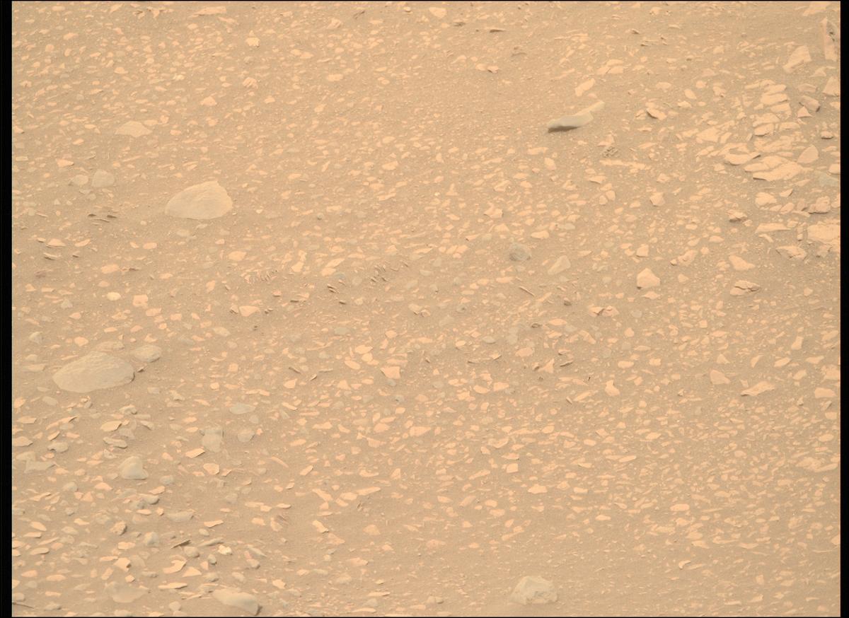 This image was taken by MCZ_RIGHT onboard NASA's Mars rover Perseverance on Sol 604