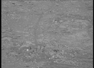 View image taken on Mars, Mars Perseverance Sol 604: Right Mastcam-Z Camera
