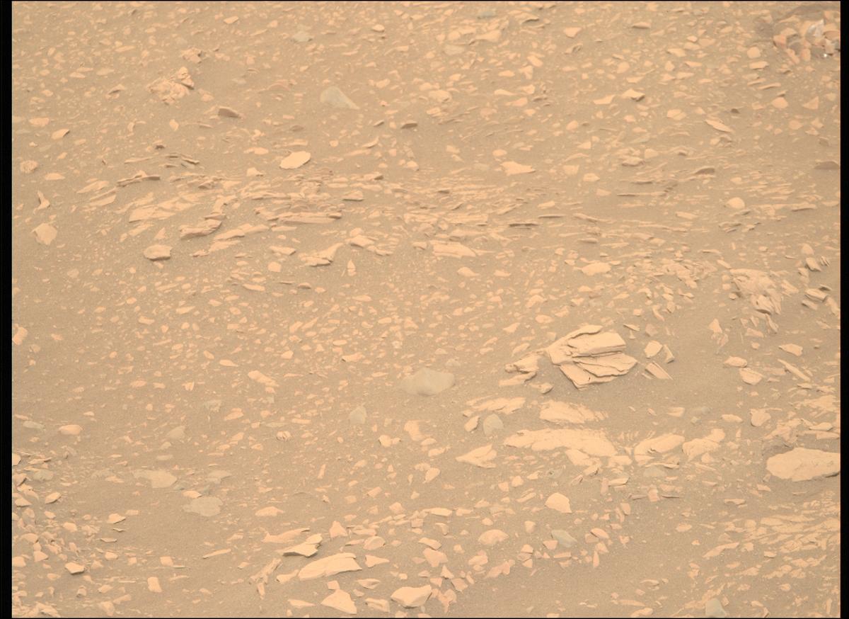 This image was taken by MCZ_RIGHT onboard NASA's Mars rover Perseverance on Sol 604