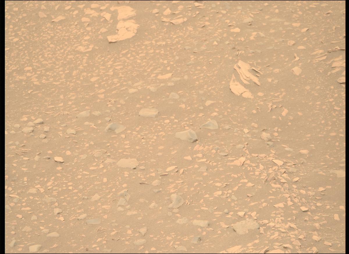This image was taken by MCZ_RIGHT onboard NASA's Mars rover Perseverance on Sol 604
