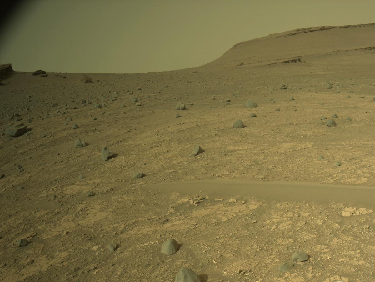 This image was taken by NAVCAM_LEFT onboard NASA's Mars rover Perseverance on Sol 606