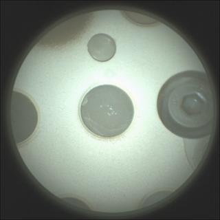View image taken on Mars, Mars Perseverance Sol 606: SuperCam Camera