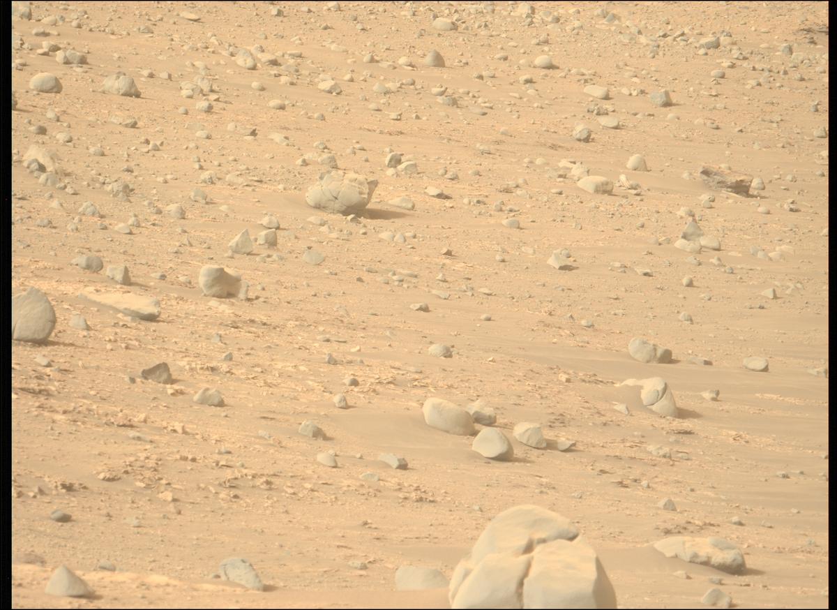 This image was taken by MCZ_LEFT onboard NASA's Mars rover Perseverance on Sol 606
