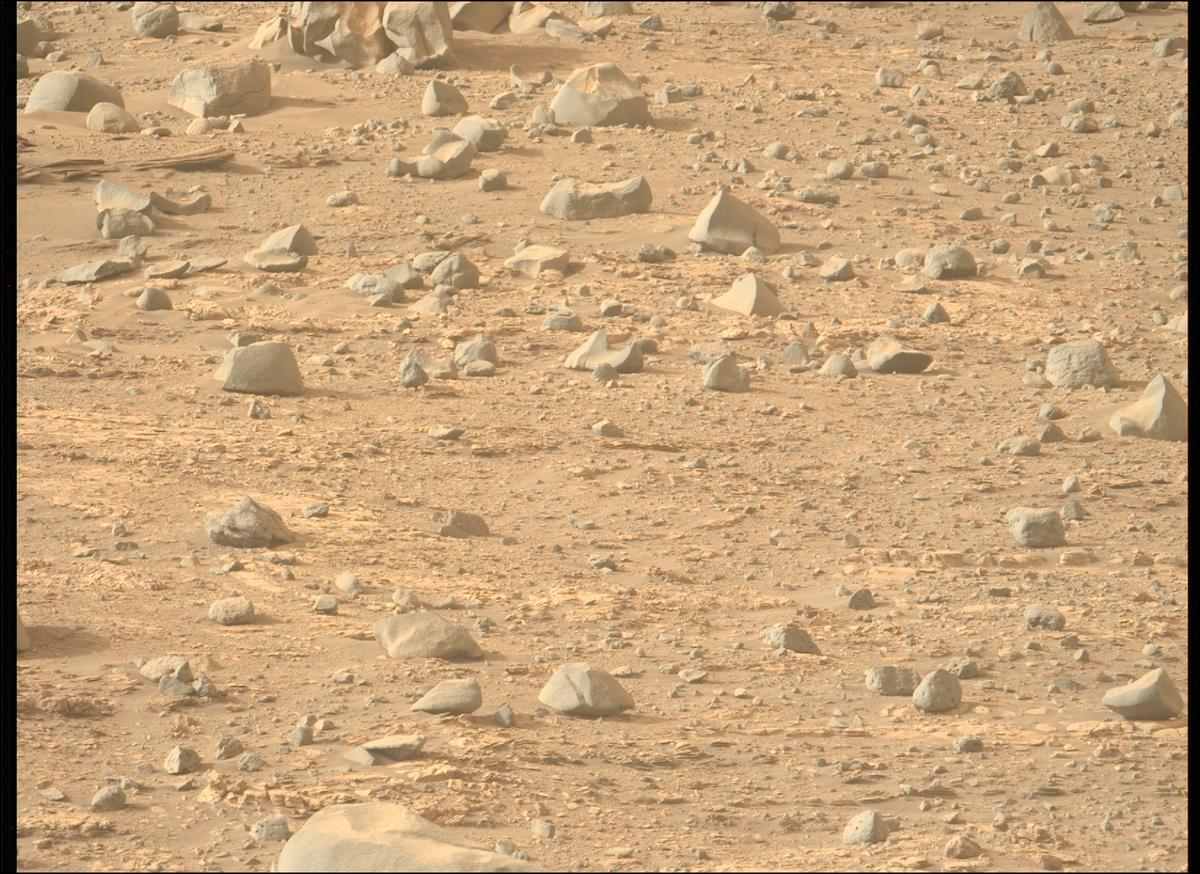 This image was taken by MCZ_LEFT onboard NASA's Mars rover Perseverance on Sol 606