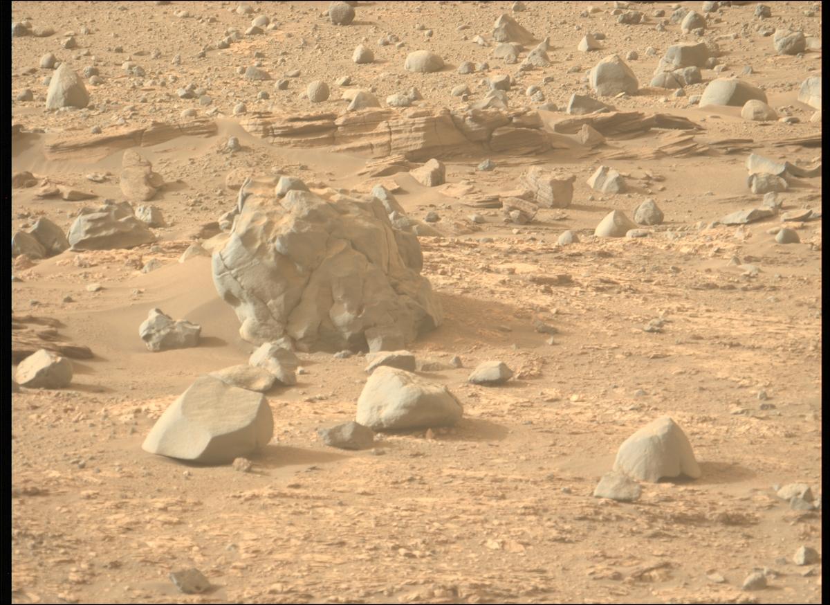 This image was taken by MCZ_LEFT onboard NASA's Mars rover Perseverance on Sol 606