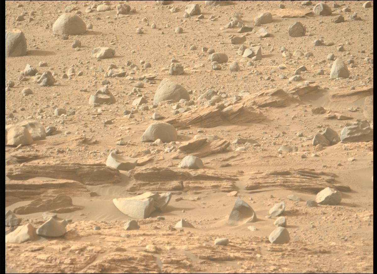 This image was taken by MCZ_LEFT onboard NASA's Mars rover Perseverance on Sol 606
