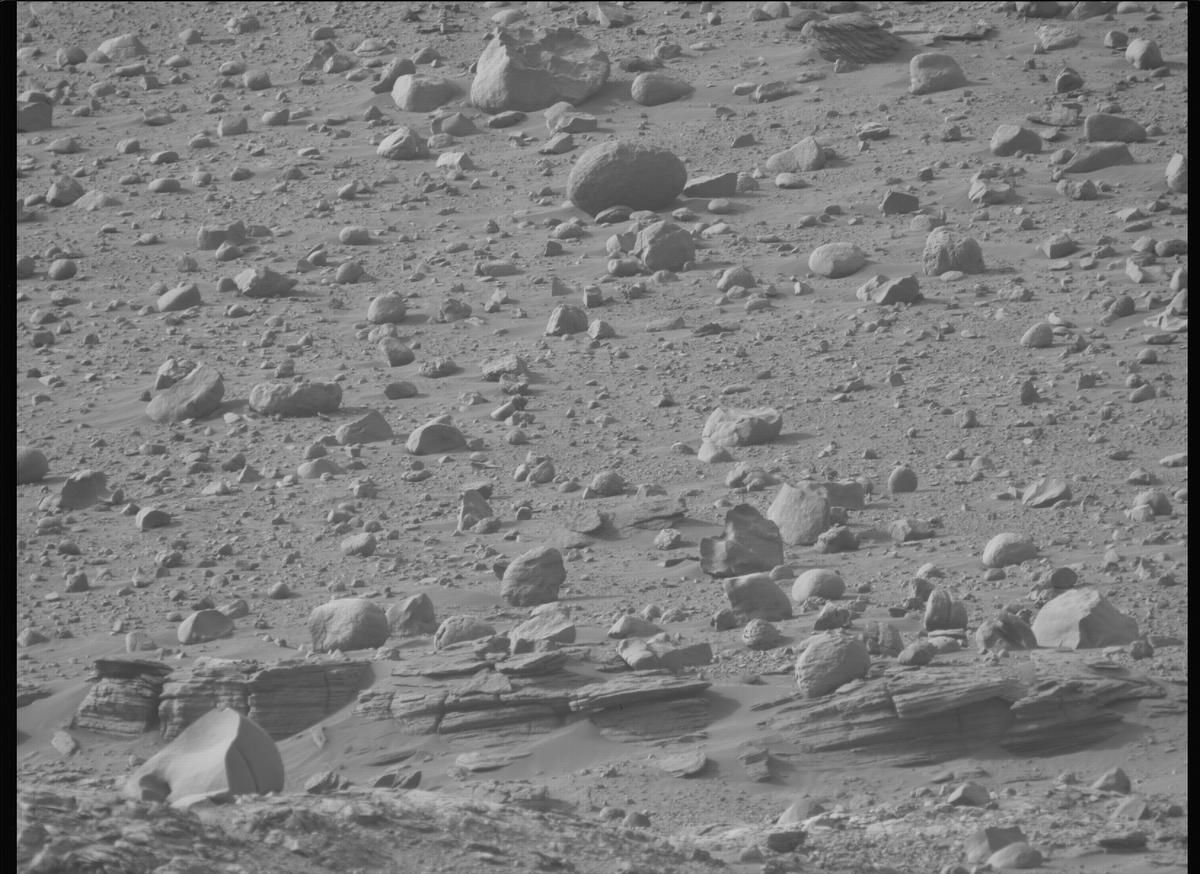 This image was taken by MCZ_LEFT onboard NASA's Mars rover Perseverance on Sol 606