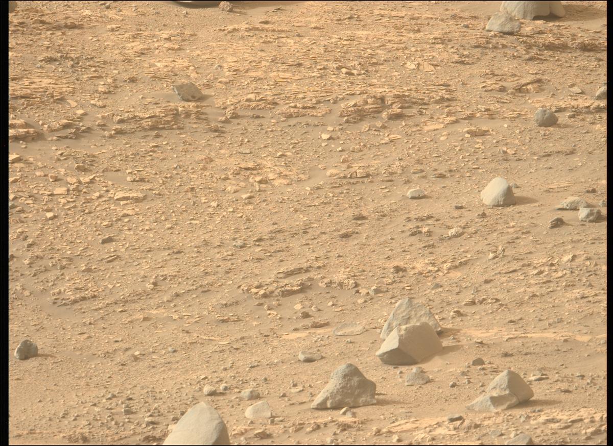 This image was taken by MCZ_LEFT onboard NASA's Mars rover Perseverance on Sol 606