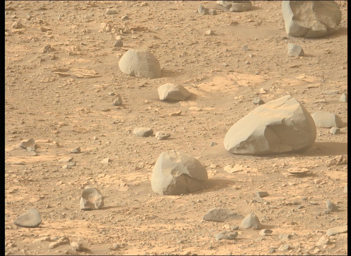 This image was taken by MCZ_LEFT onboard NASA's Mars rover Perseverance on Sol 606