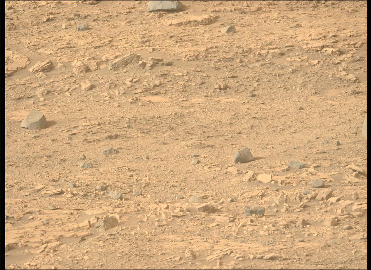 This image was taken by MCZ_LEFT onboard NASA's Mars rover Perseverance on Sol 606