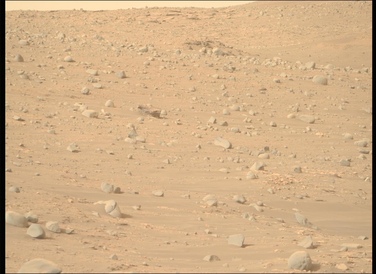 This image was taken by MCZ_RIGHT onboard NASA's Mars rover Perseverance on Sol 606