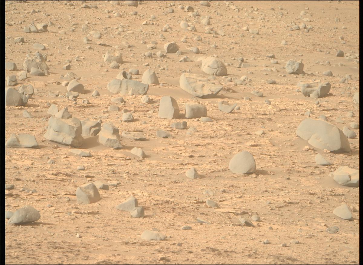 This image was taken by MCZ_RIGHT onboard NASA's Mars rover Perseverance on Sol 606