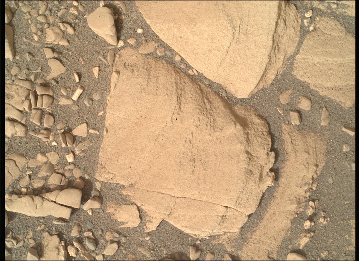 This image was taken by SHERLOC_WATSON onboard NASA's Mars rover Perseverance on Sol 607