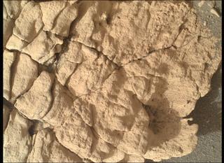 View image taken on Mars, Mars Perseverance Sol 607: WATSON Camera 