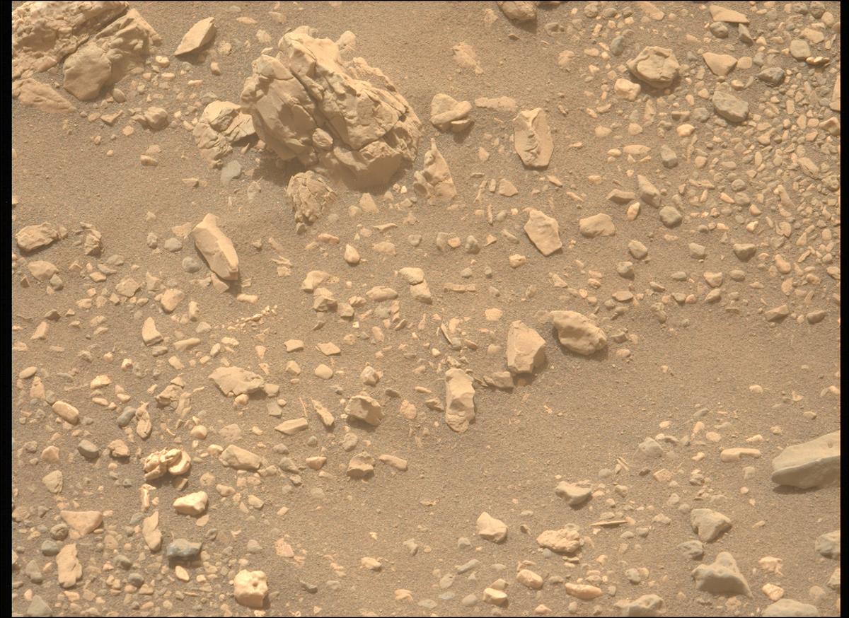 This image was taken by MCZ_LEFT onboard NASA's Mars rover Perseverance on Sol 610