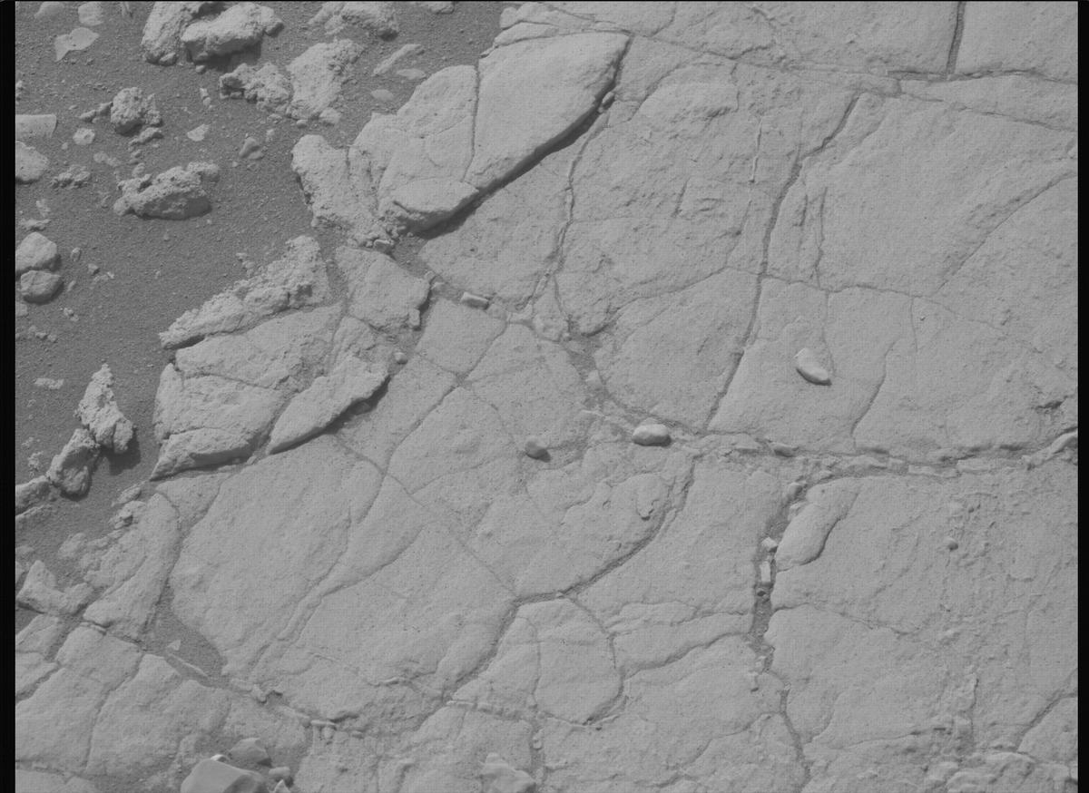 This image was taken by MCZ_LEFT onboard NASA's Mars rover Perseverance on Sol 610