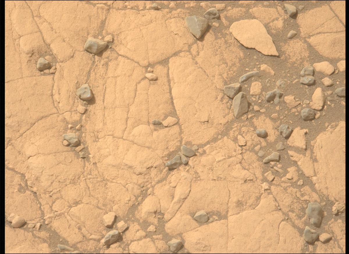 This image was taken by MCZ_LEFT onboard NASA's Mars rover Perseverance on Sol 610