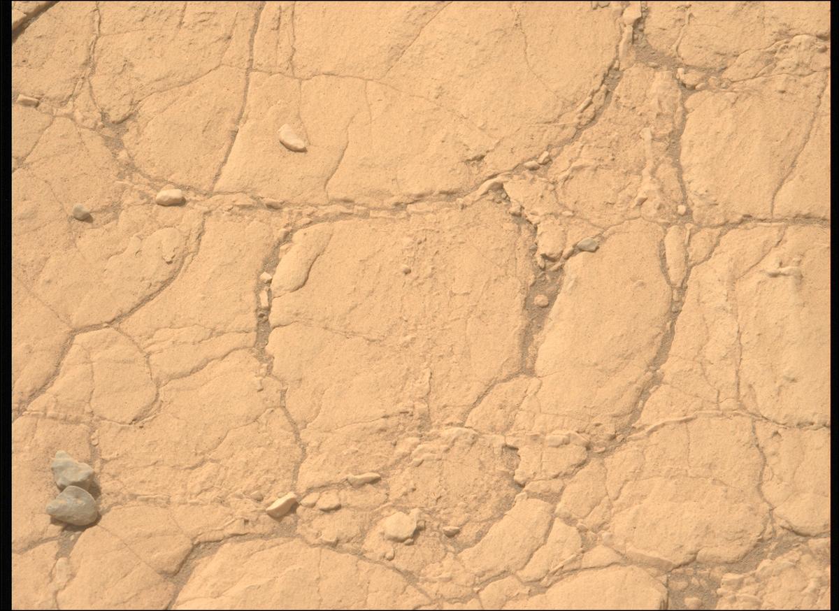 This image was taken by MCZ_LEFT onboard NASA's Mars rover Perseverance on Sol 612