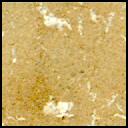 This image was taken by MCZ_LEFT onboard NASA's Mars rover Perseverance on Sol 613