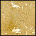 View image taken on Mars, Mars Perseverance Sol 613: Left Mastcam-Z Camera