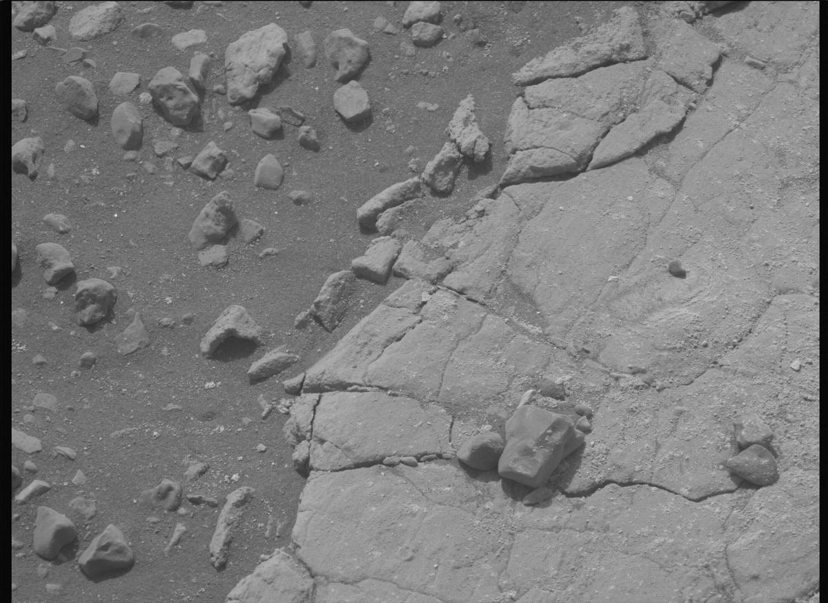 This image was taken by MCZ_LEFT onboard NASA's Mars rover Perseverance on Sol 613