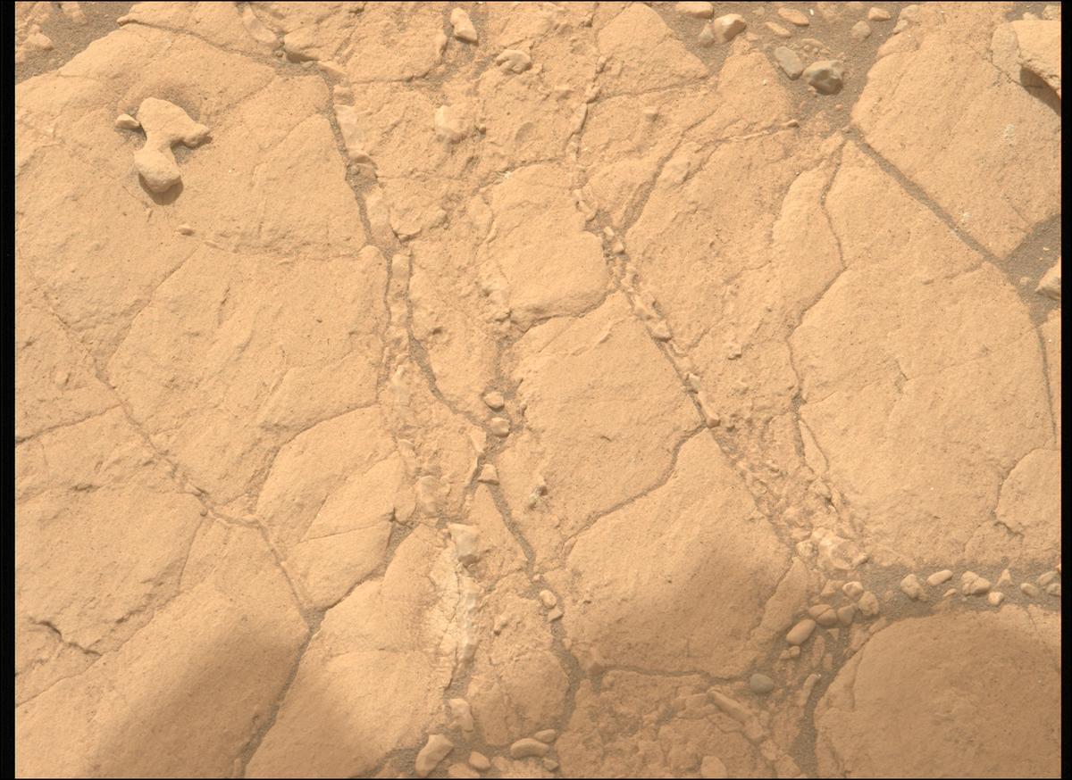 This image was taken by MCZ_LEFT onboard NASA's Mars rover Perseverance on Sol 613