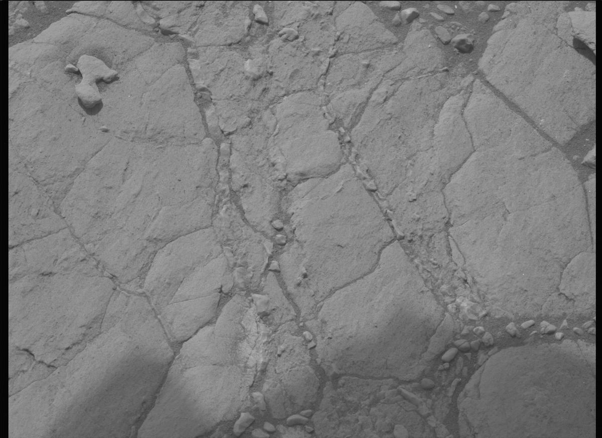 This image was taken by MCZ_LEFT onboard NASA's Mars rover Perseverance on Sol 613