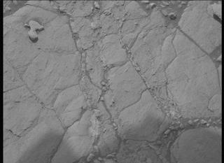 View image taken on Mars, Mars Perseverance Sol 613: Left Mastcam-Z Camera
