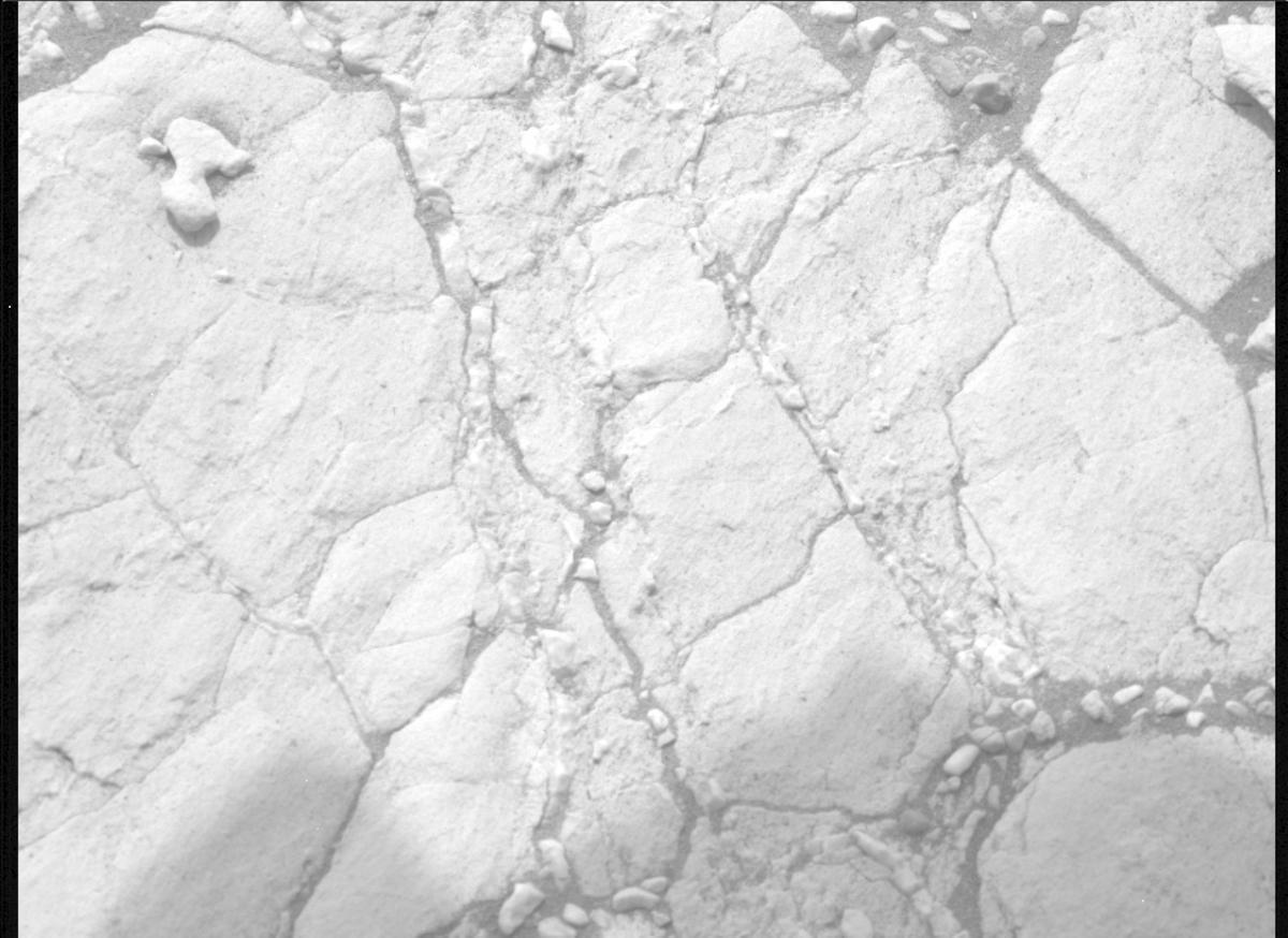 This image was taken by MCZ_LEFT onboard NASA's Mars rover Perseverance on Sol 613