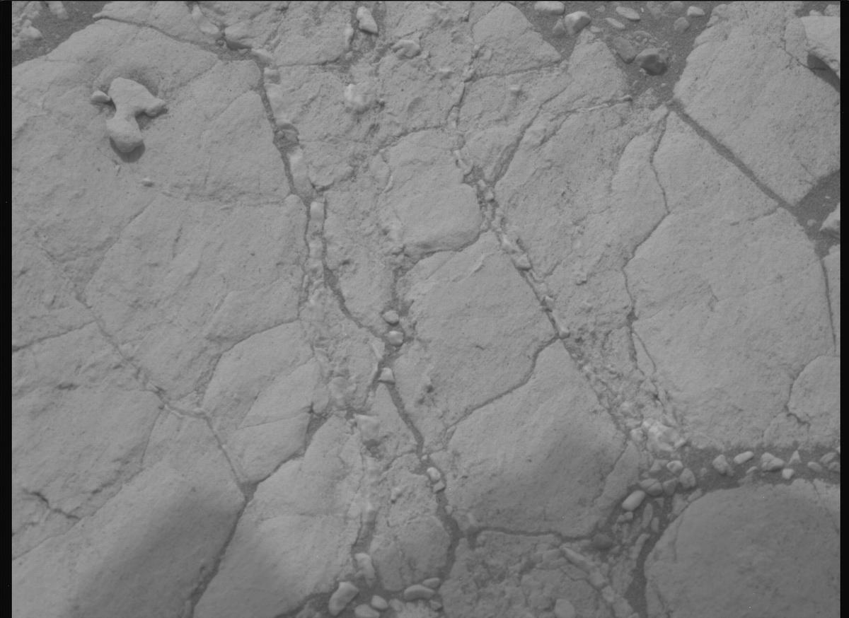 This image was taken by MCZ_LEFT onboard NASA's Mars rover Perseverance on Sol 613