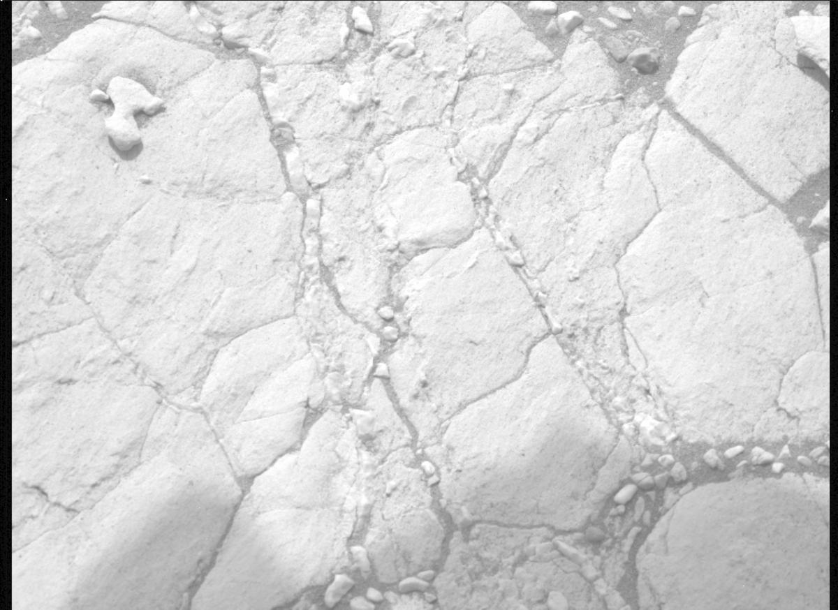 This image was taken by MCZ_LEFT onboard NASA's Mars rover Perseverance on Sol 613