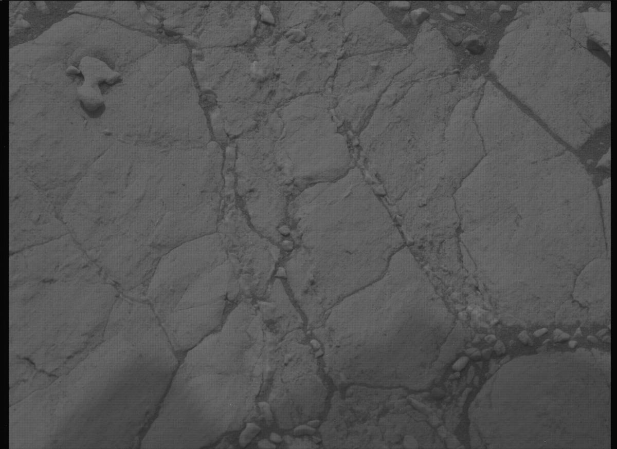 This image was taken by MCZ_LEFT onboard NASA's Mars rover Perseverance on Sol 613