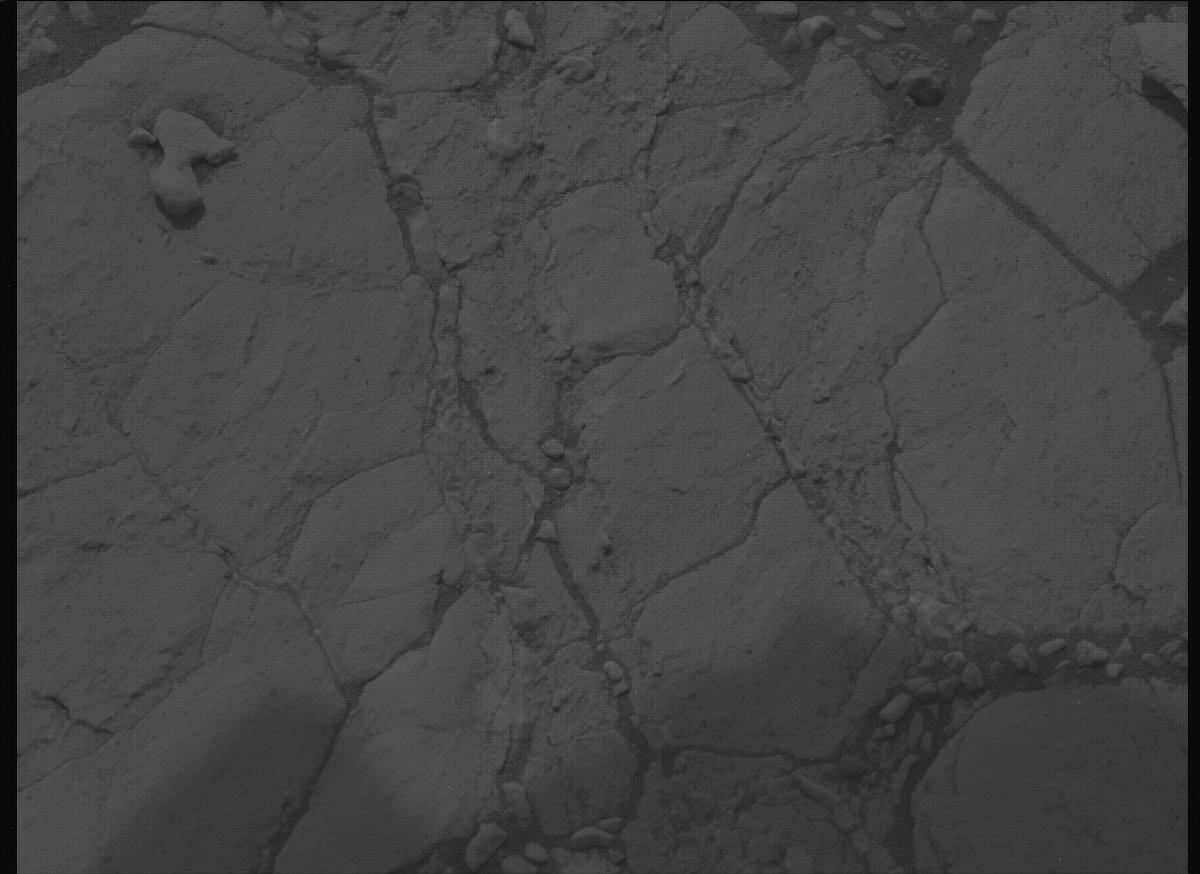 This image was taken by MCZ_LEFT onboard NASA's Mars rover Perseverance on Sol 613