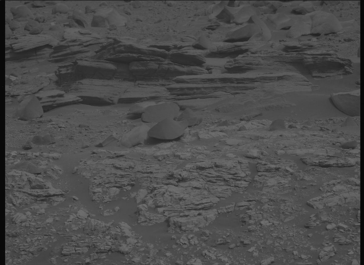 This image was taken by MCZ_LEFT onboard NASA's Mars rover Perseverance on Sol 613