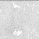 This image was taken by MCZ_LEFT onboard NASA's Mars rover Perseverance on Sol 613