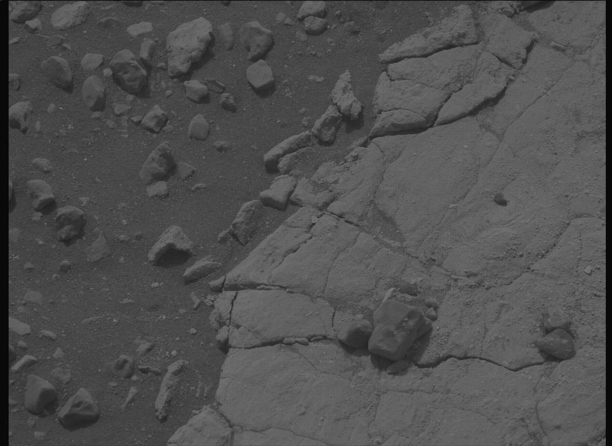 This image was taken by MCZ_LEFT onboard NASA's Mars rover Perseverance on Sol 613