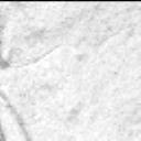 This image was taken by MCZ_LEFT onboard NASA's Mars rover Perseverance on Sol 613