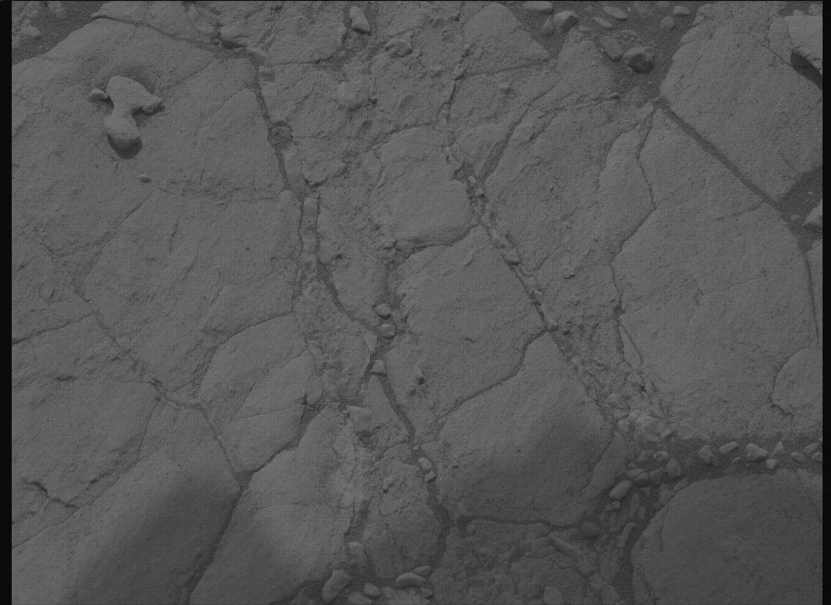 This image was taken by MCZ_LEFT onboard NASA's Mars rover Perseverance on Sol 613