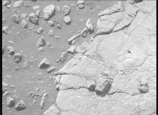 View image taken on Mars, Mars Perseverance Sol 613: Left Mastcam-Z Camera