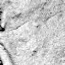 This image was taken by MCZ_LEFT onboard NASA's Mars rover Perseverance on Sol 613