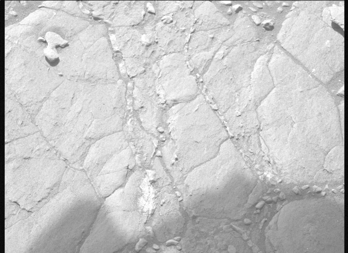 This image was taken by MCZ_LEFT onboard NASA's Mars rover Perseverance on Sol 613