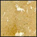 View image taken on Mars, Mars Perseverance Sol 613: Right Mastcam-Z Camera