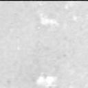 This image was taken by MCZ_RIGHT onboard NASA's Mars rover Perseverance on Sol 613