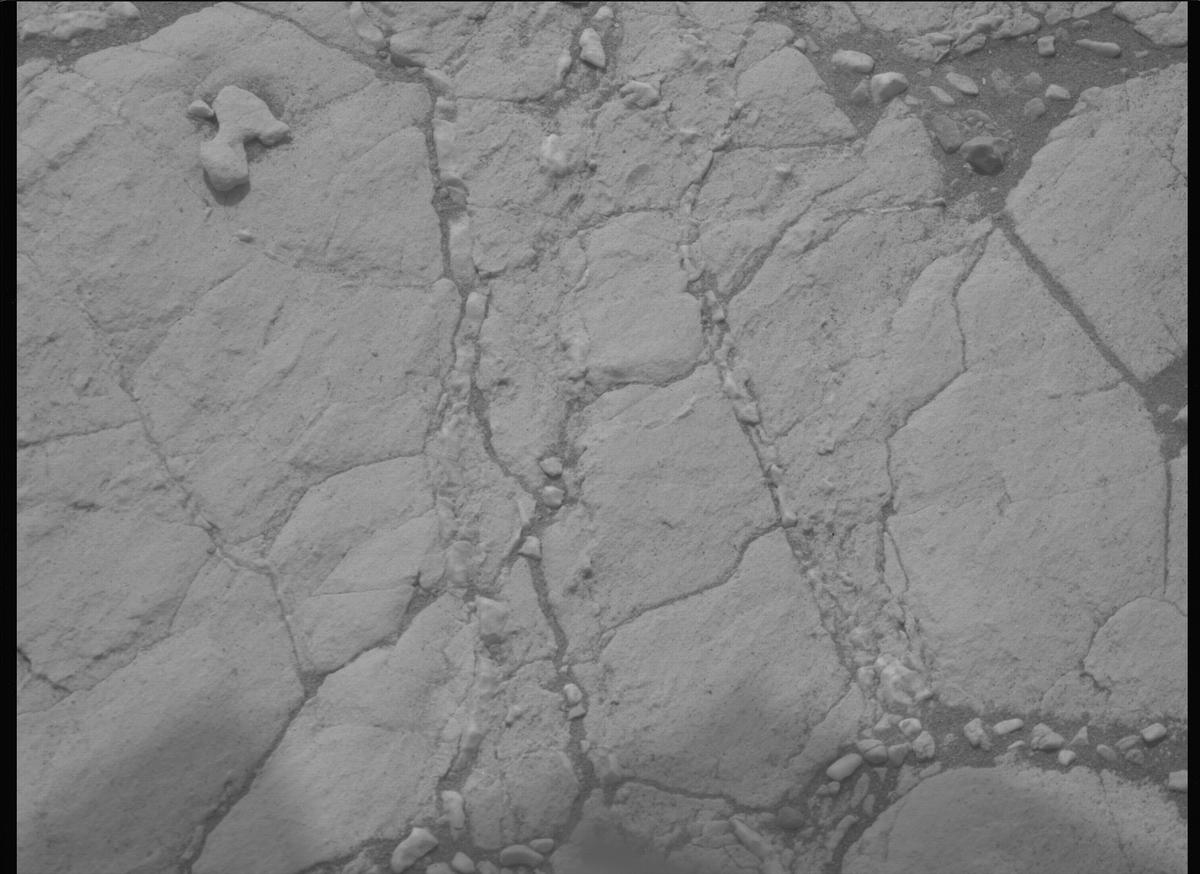 This image was taken by MCZ_RIGHT onboard NASA's Mars rover Perseverance on Sol 613