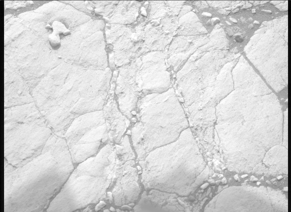 This image was taken by MCZ_RIGHT onboard NASA's Mars rover Perseverance on Sol 613