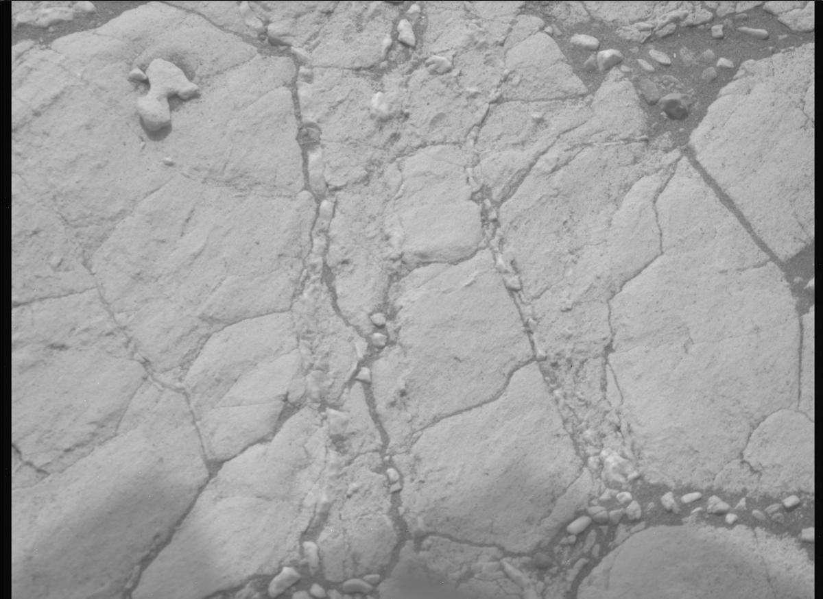 This image was taken by MCZ_RIGHT onboard NASA's Mars rover Perseverance on Sol 613