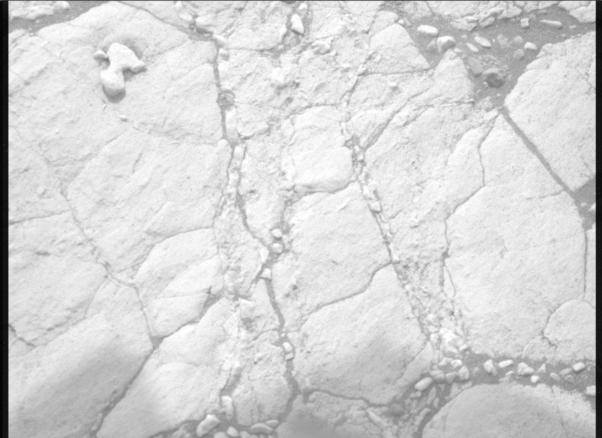 This image was taken by MCZ_RIGHT onboard NASA's Mars rover Perseverance on Sol 613