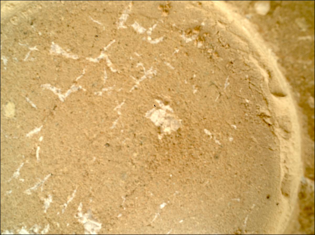 This image was taken by SHERLOC_WATSON onboard NASA's Mars rover Perseverance on Sol 614